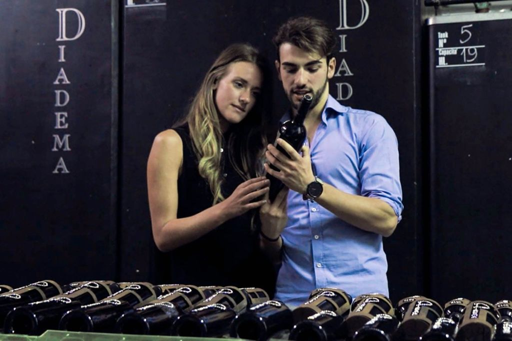 Chianti: Wine & Olive Oil Tasting with Guided Tour + Roundtrip from Florence