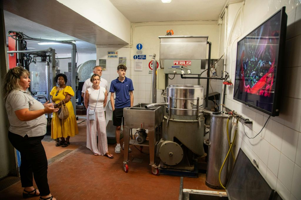 Chianti: Wine & Olive Oil Tasting with Guided Tour + Roundtrip from Florence