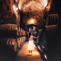Montepulciano: Wine Tasting Tour in two historical cellars