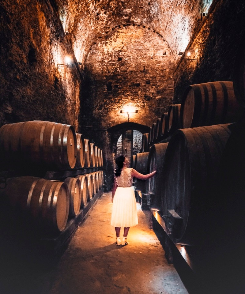 Montepulciano: Wine Tasting Tour in two historical cellars