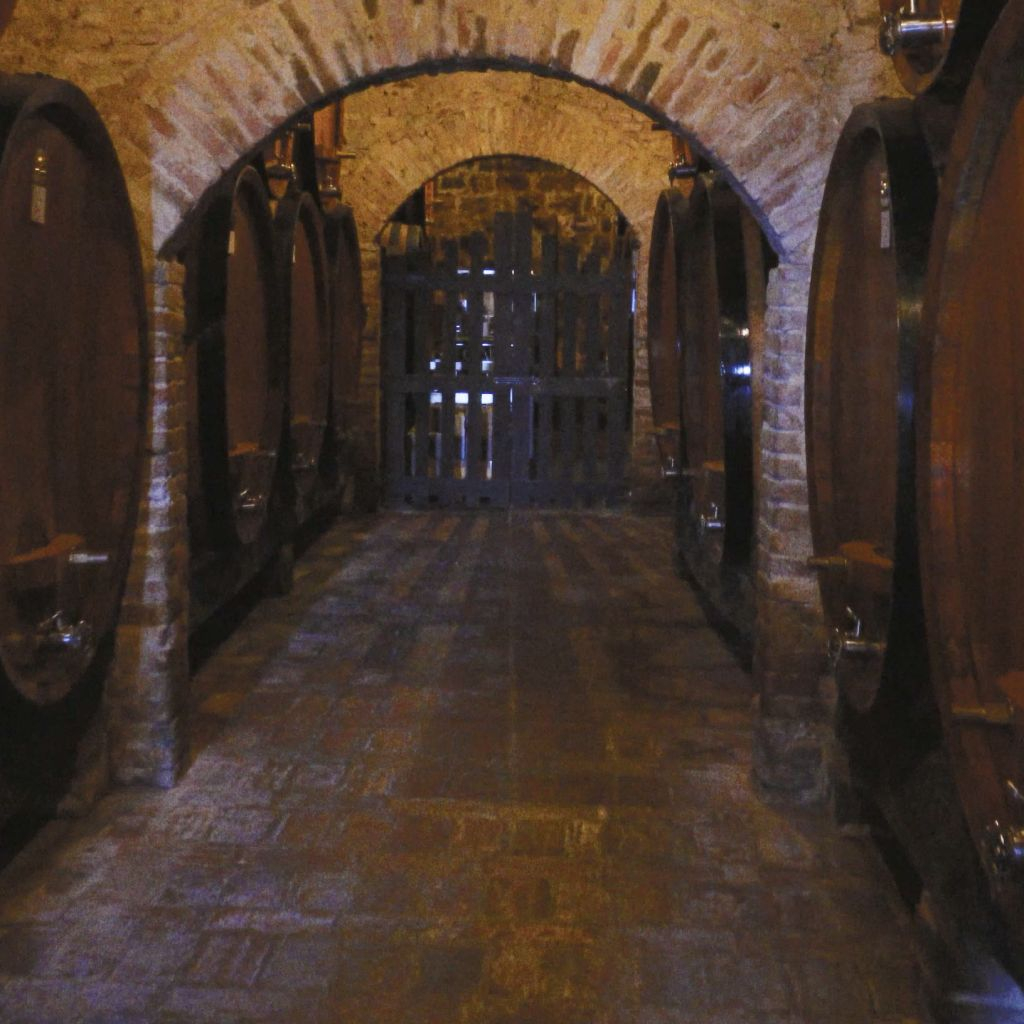Montepulciano: Wine Tasting Tour in two historical cellars