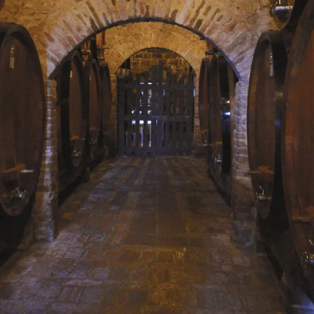 Montepulciano: Wine Tasting Tour in two historical cellars