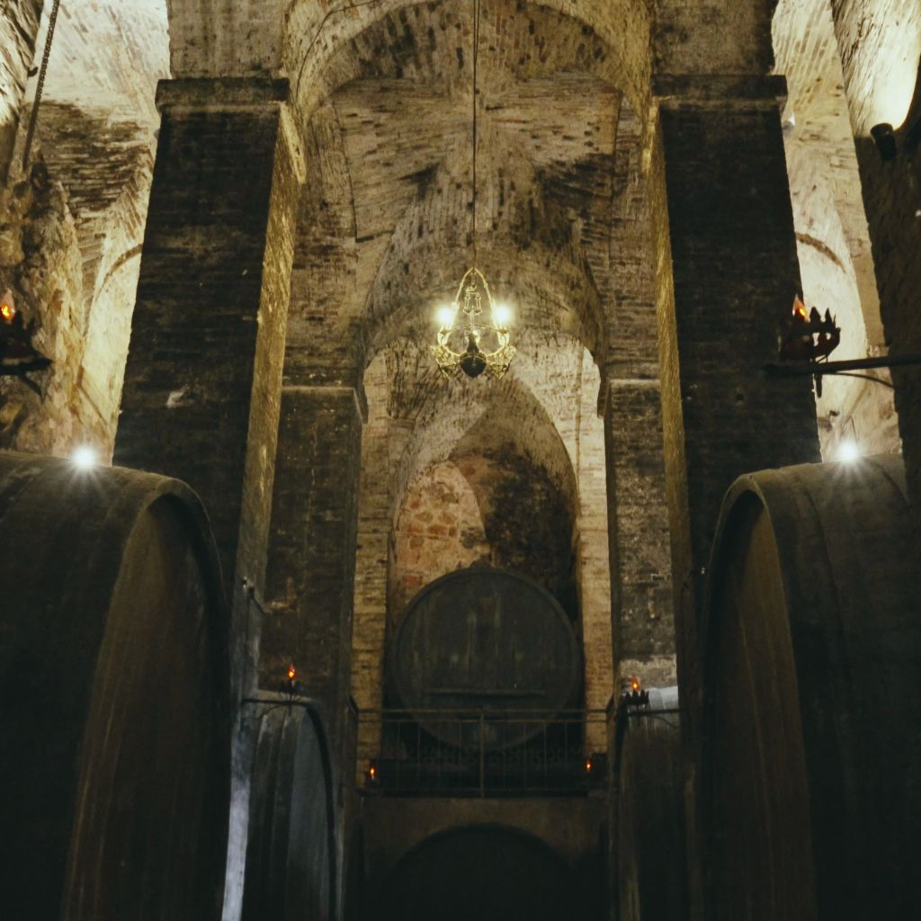 Montepulciano: Wine Tasting Tour in two historical cellars