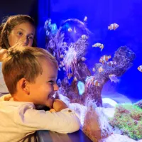 Palma Aquarium