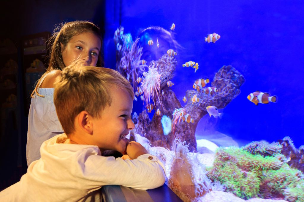 Palma Aquarium 