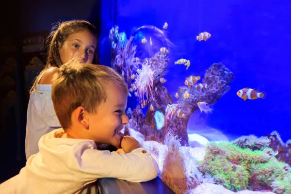 Palma Aquarium