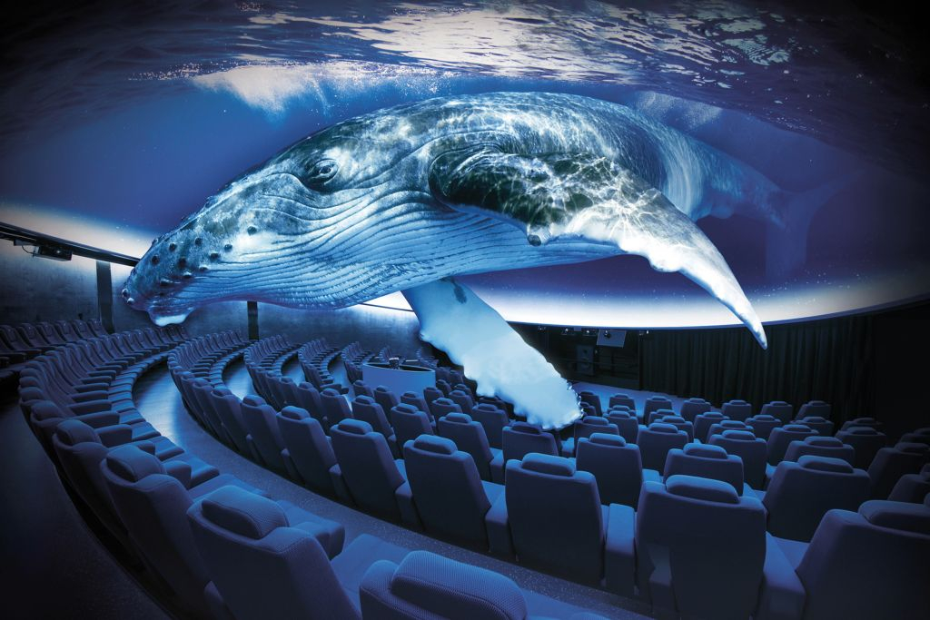 Palma Aquarium