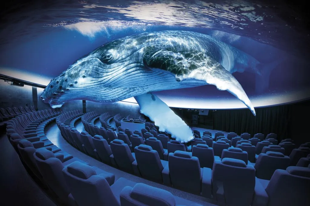 Palma Aquarium