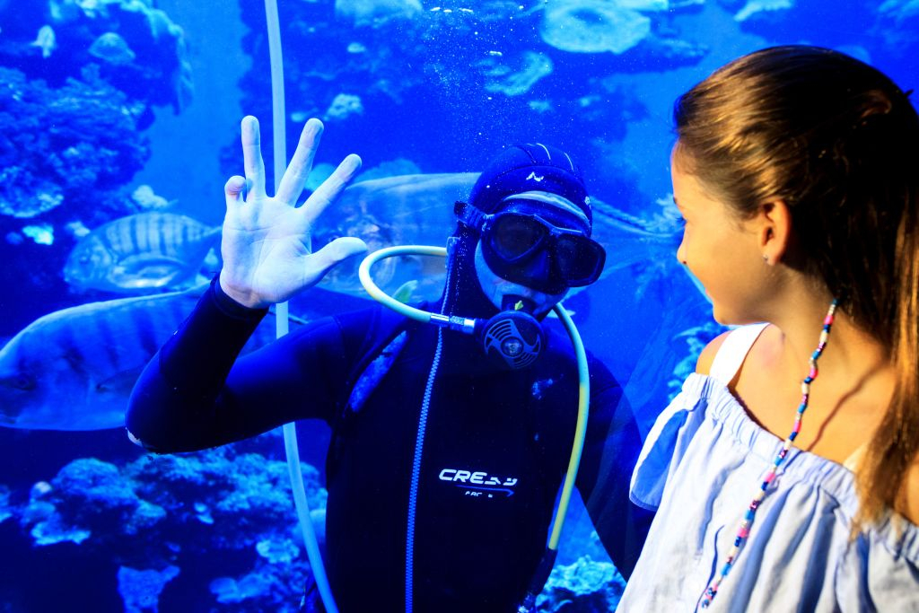 Palma Aquarium