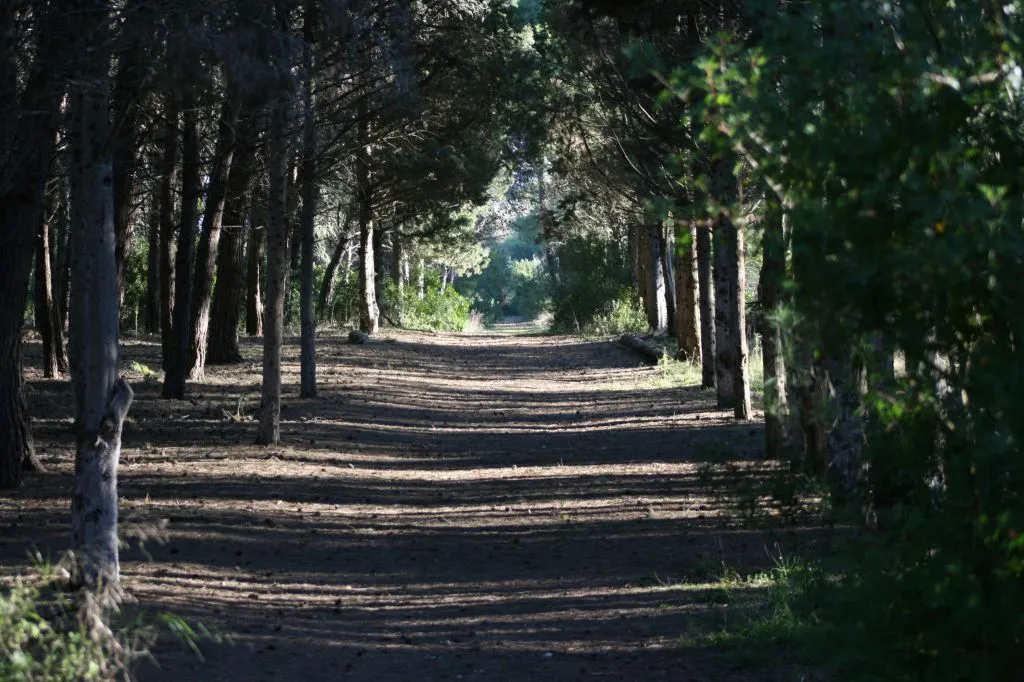 Riserva Naturale WWF Le Cesine: Visita guidata