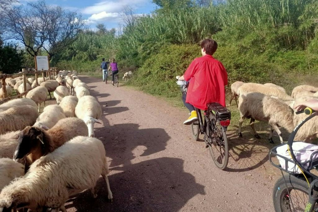 Appia Antica & Roman Aqueducts: Guided E-Bike Tour