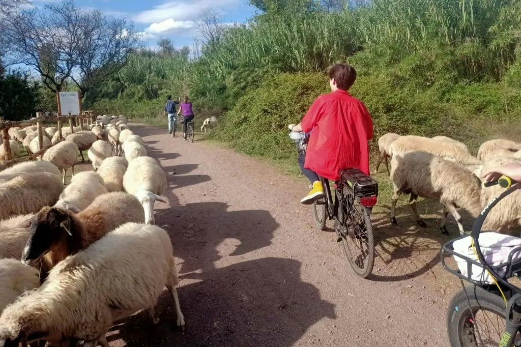 Appia Antica & Roman Aqueducts: Guided E-Bike Tour
