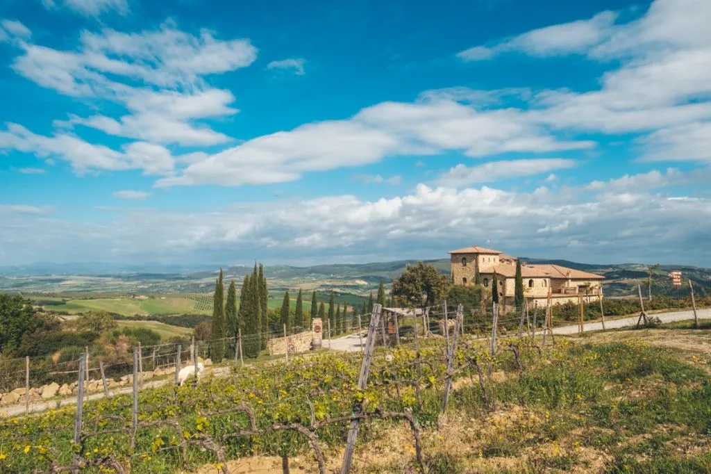Maremma: degustazione di vino Sangiovese