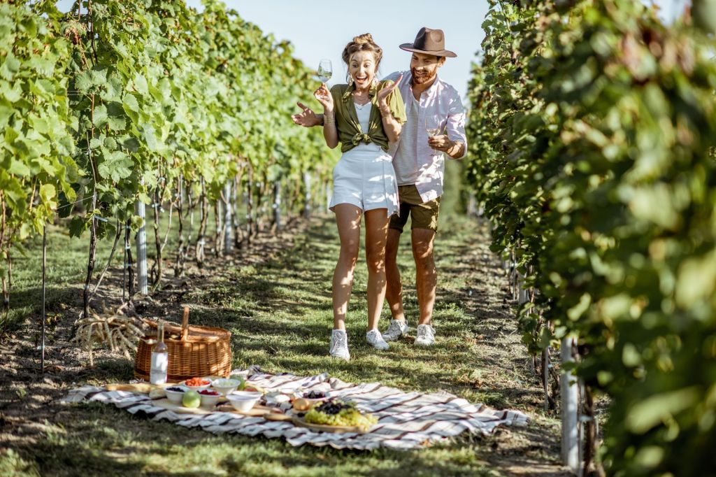 Montelpulciano Vineyard: Wine Tasting + Picnic