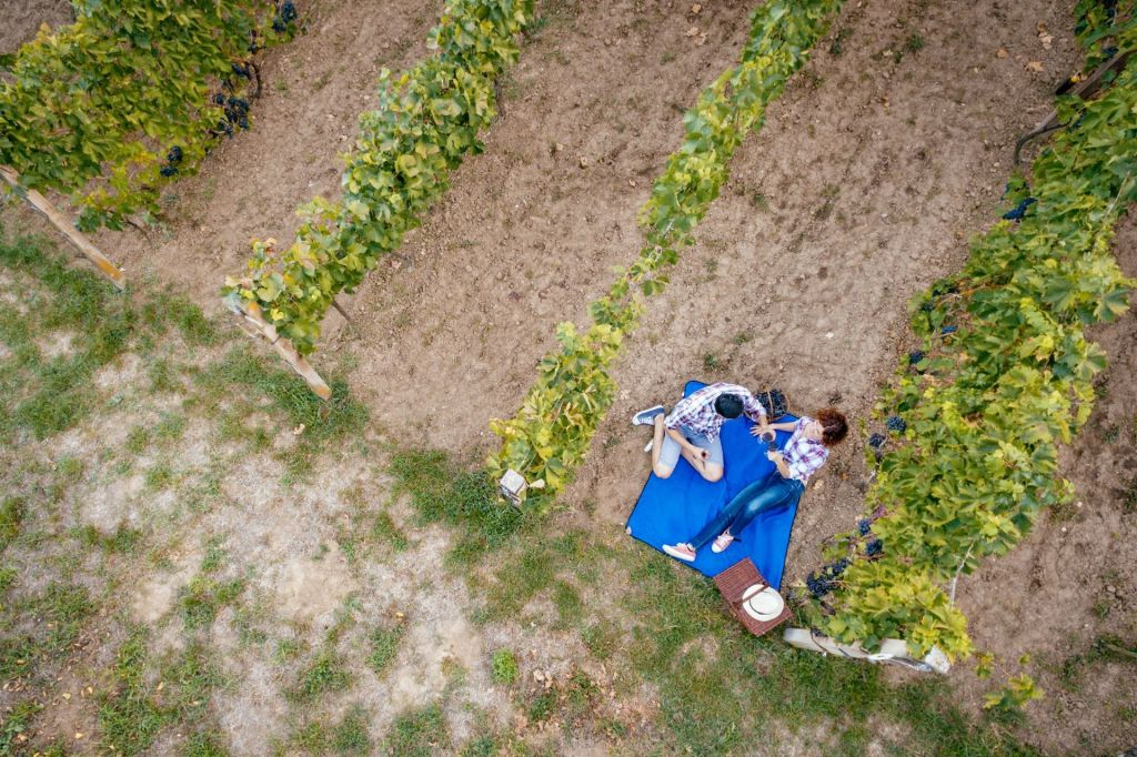 Montelpulciano Vineyard: Wine Tasting + Picnic