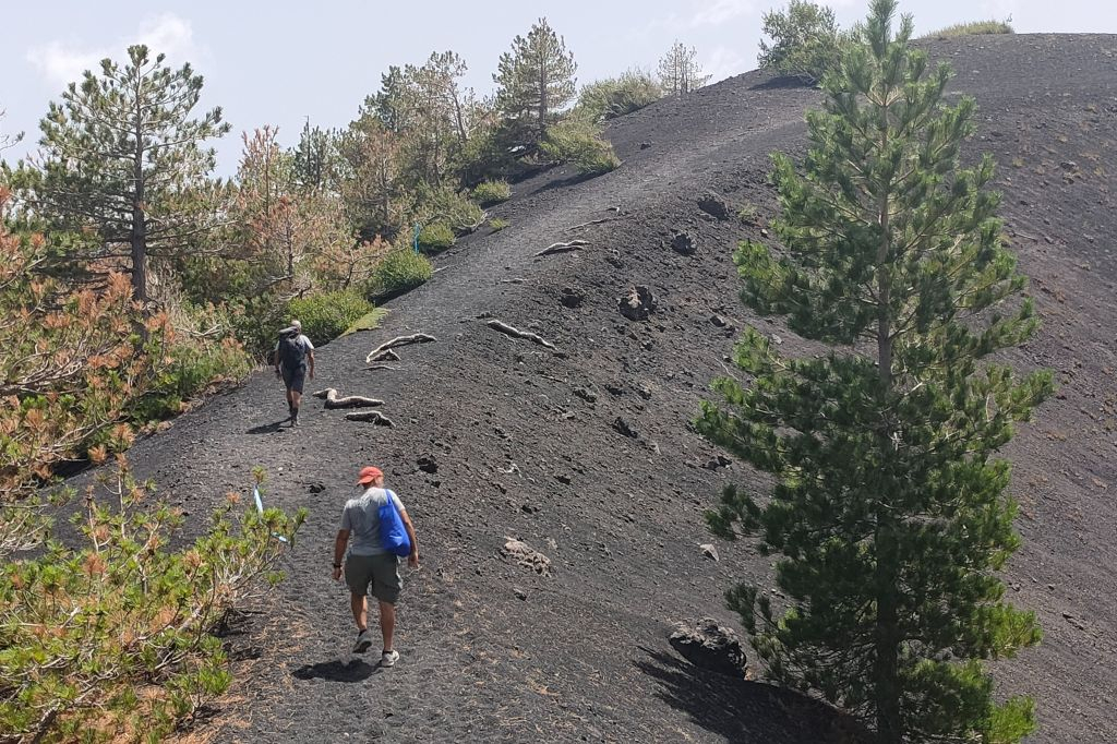 Monte Etna: Tour di trekking da Taormina + pranzo