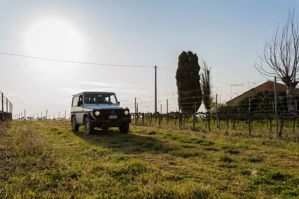 Safari Grand Tour e degustazione
