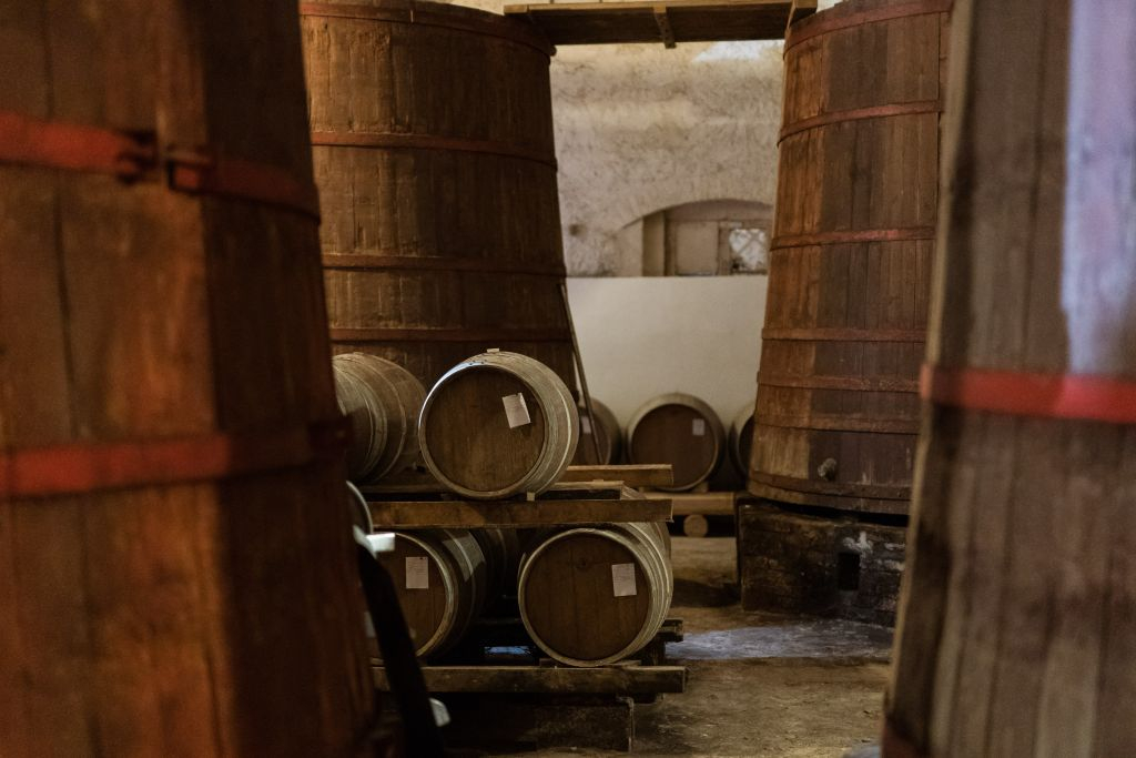 Safari Grand Tour e degustazione