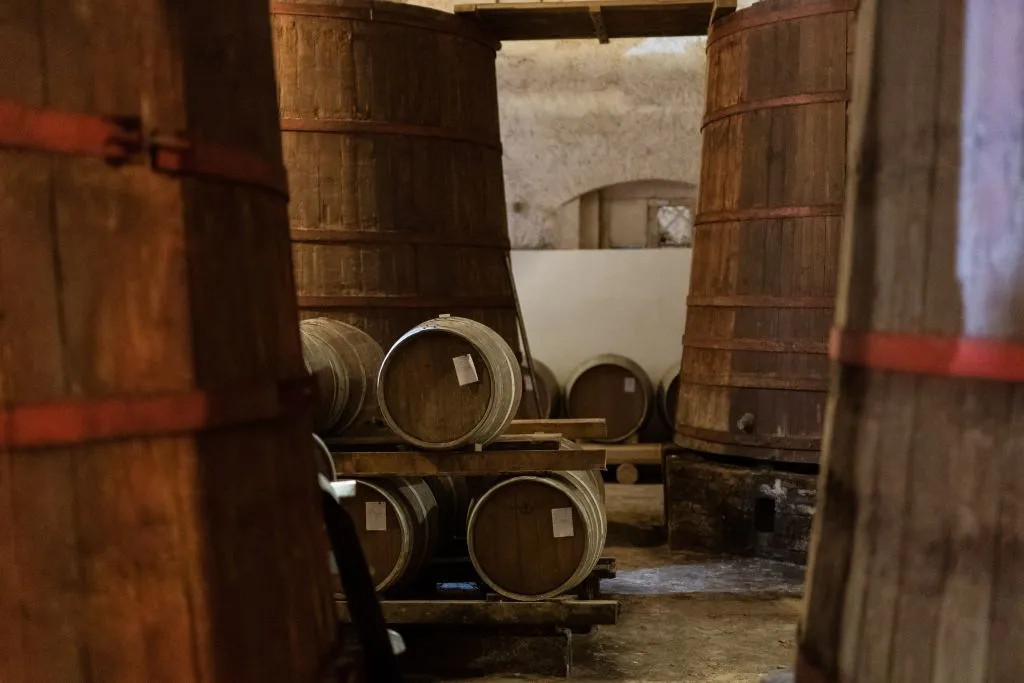 Safari Grand Tour e degustazione