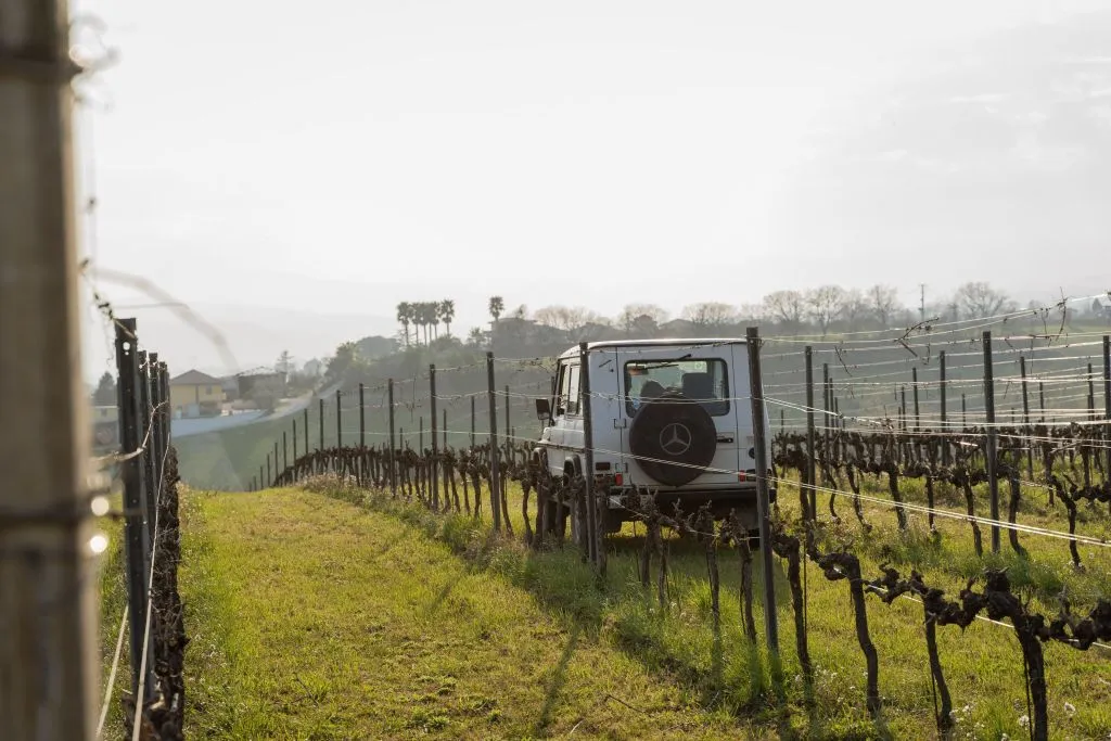 Safari Grand Tour e degustazione