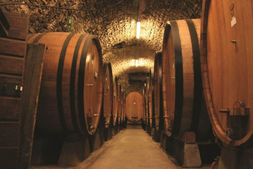 Chianti e castelos: Viagem de um dia saindo de San Gimignano + degustação de vinhos