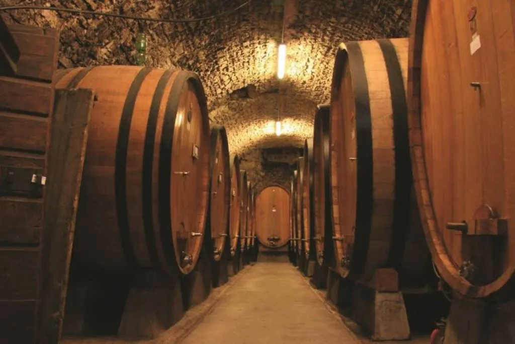 Chianti & Castles: Day Trip from San Gimignano + Wine Tasting