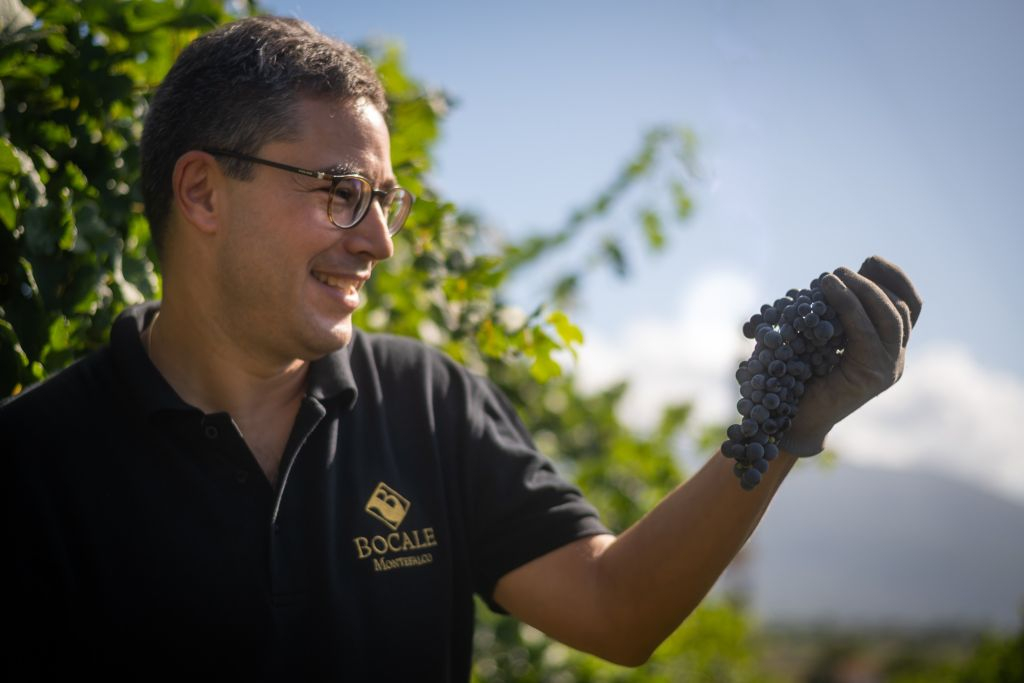 Visita guidata della cantina e degustazione privata a Montefalco