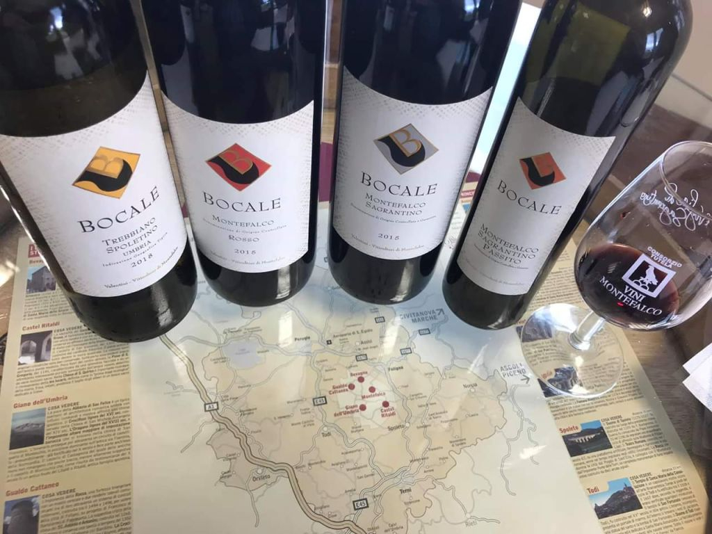 Visita guidata della cantina e degustazione privata a Montefalco