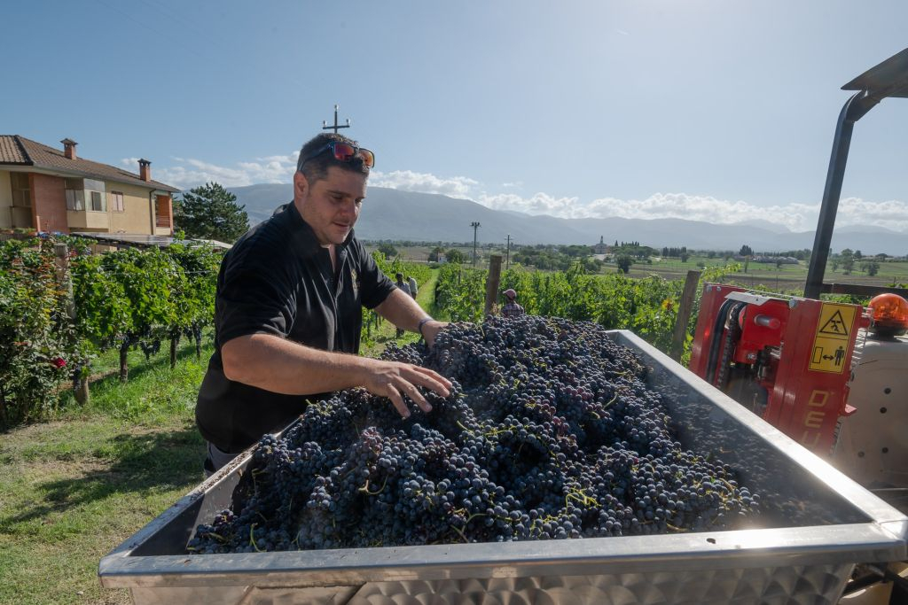 Visita guidata della cantina e degustazione privata a Montefalco
