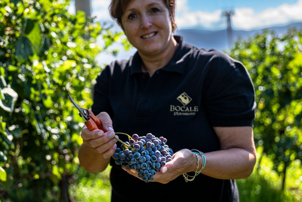Visita guidata della cantina e degustazione privata a Montefalco