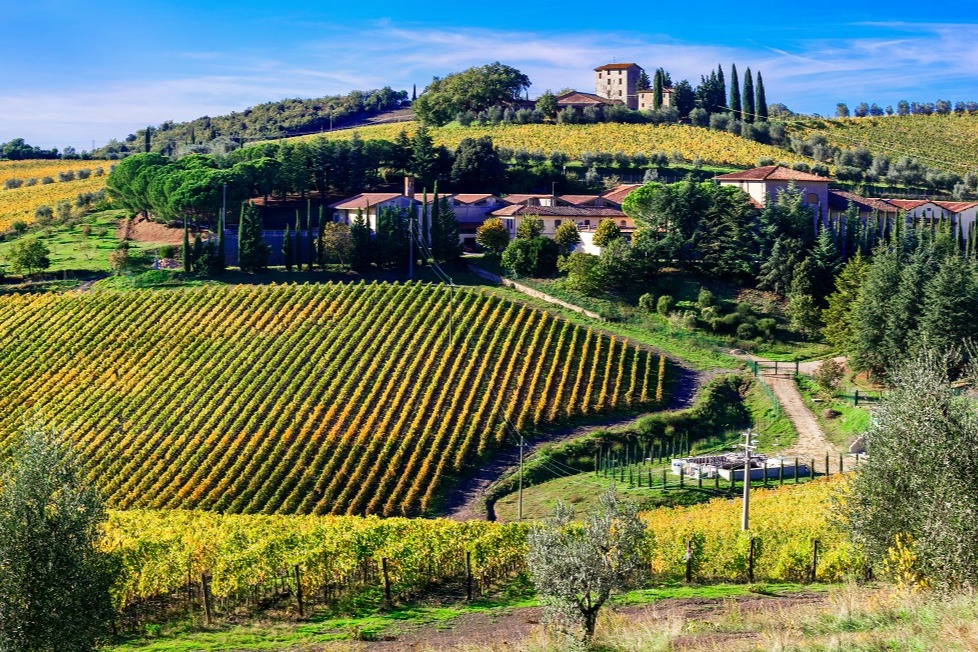Chianti Vineyard and Castle Tour with Wine Tasting