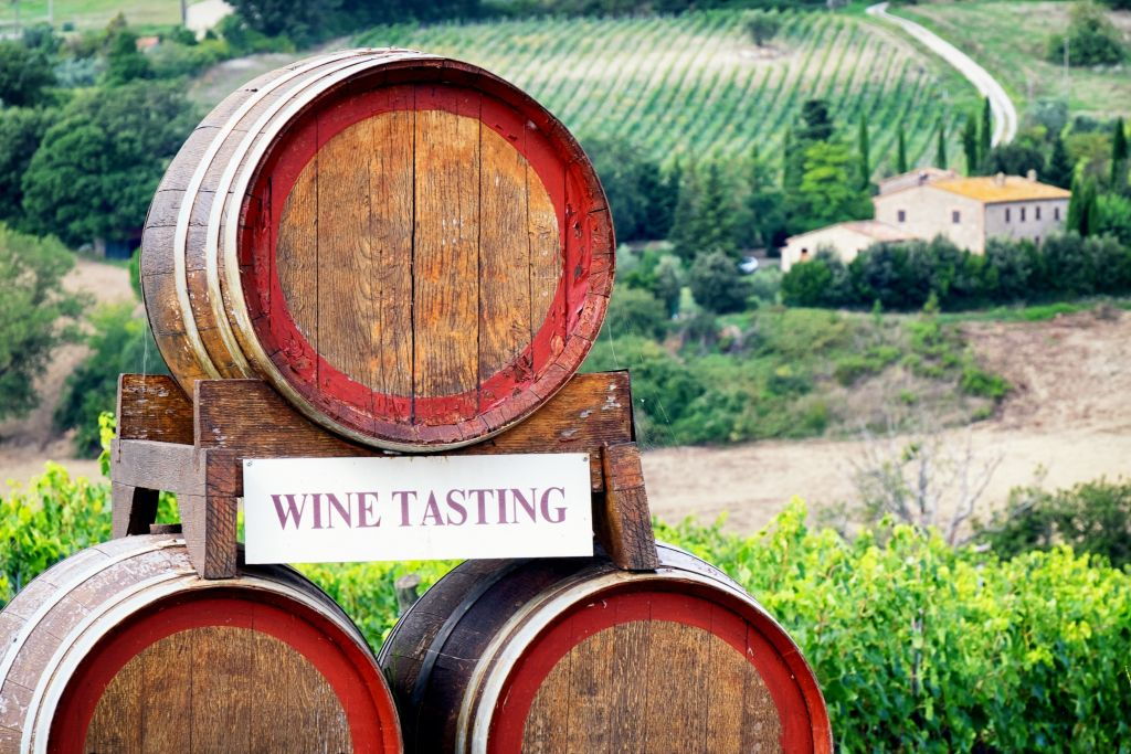 Chianti Vineyard and Castle Tour with Wine Tasting