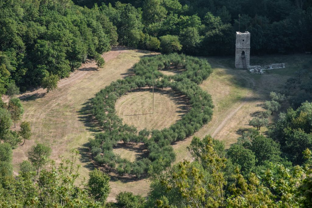Bosco di San Francesco: Bilhete de entrada