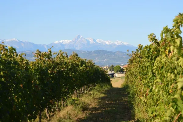 Tour delle cantine storiche d'Abruzzo e degustazione