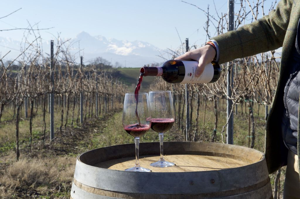 Tour delle cantine storiche d'Abruzzo e degustazione