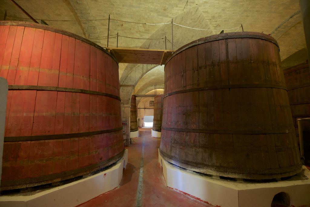 Tour delle cantine storiche d'Abruzzo e degustazione