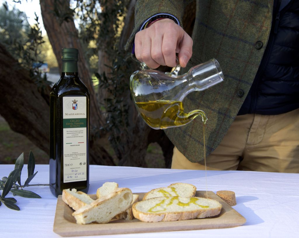 Tour delle cantine storiche d'Abruzzo e degustazione