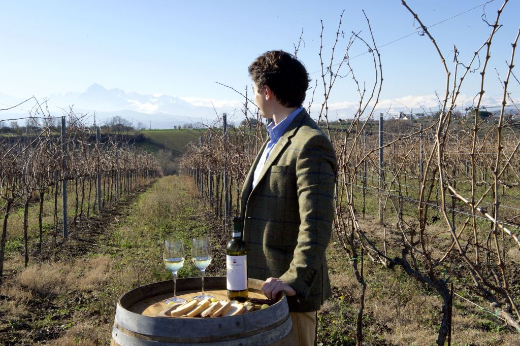 Tour delle cantine storiche d'Abruzzo e degustazione