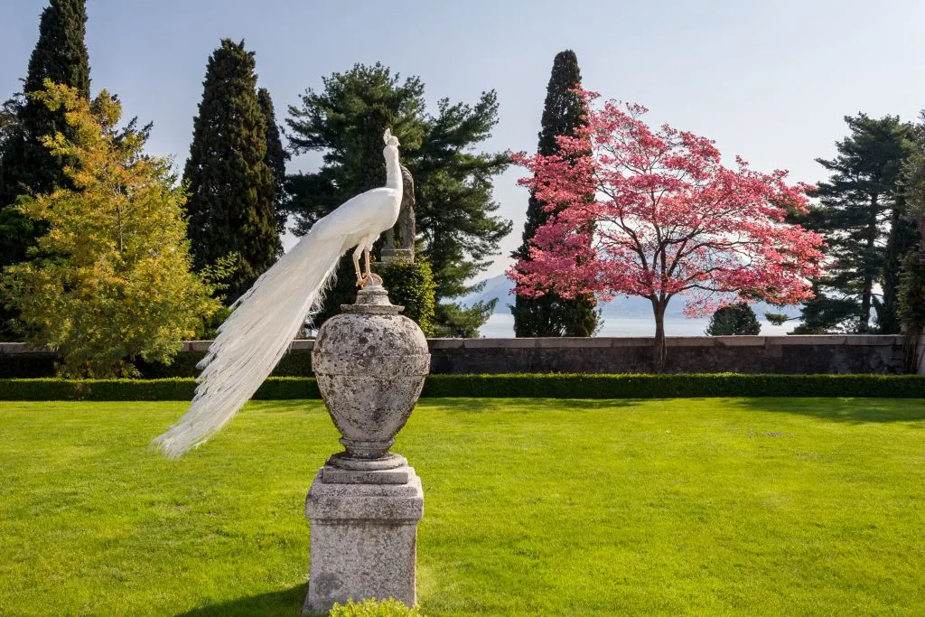 Lago Maggiore: Gita in Giornata da Milano