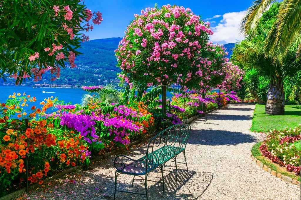 Lago Maggiore: Gita in Giornata da Milano