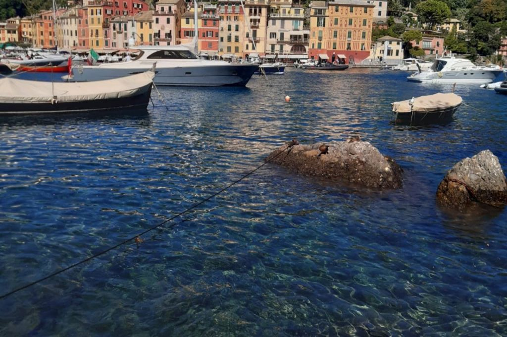 Da Genova a Portofino: tour di mezza giornata in autobus