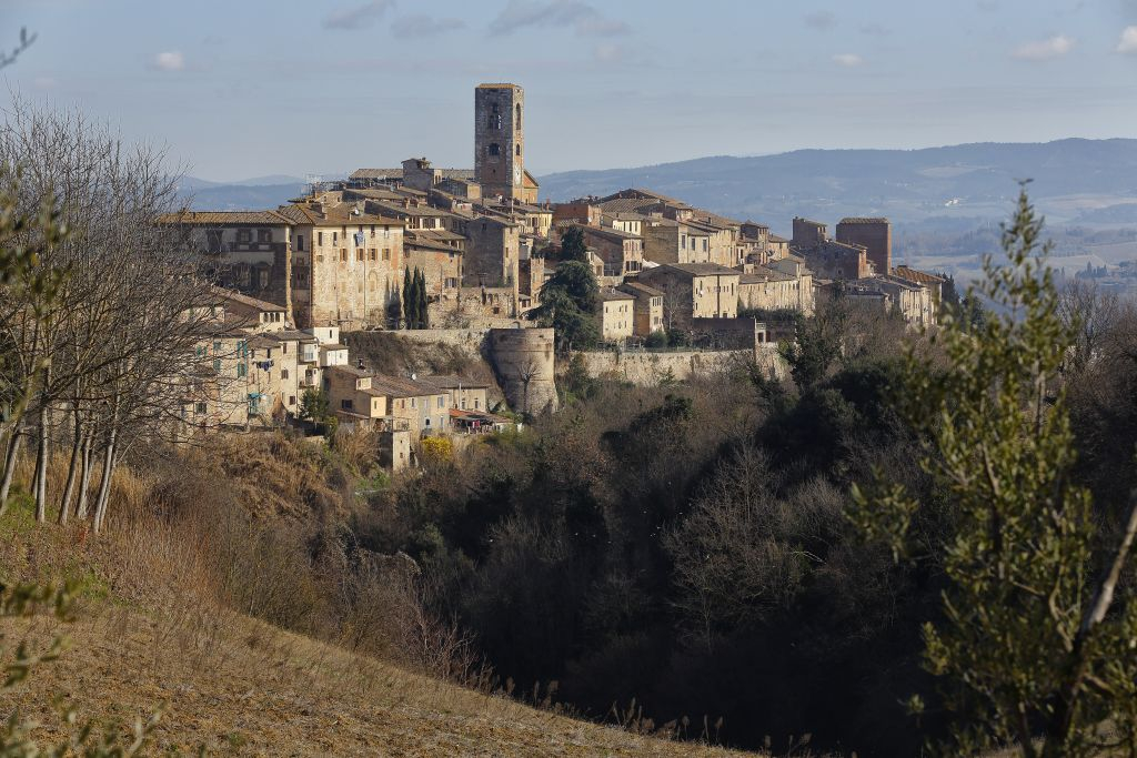 Museum of San Pietro in Colle Val d'Elsa