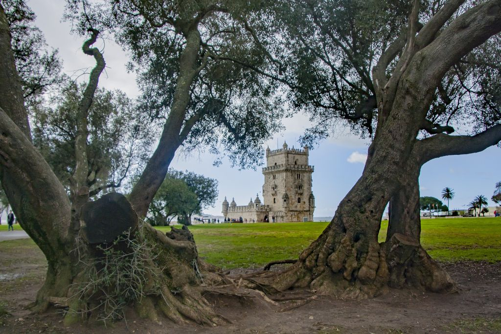Belém Tower: Entry Ticket