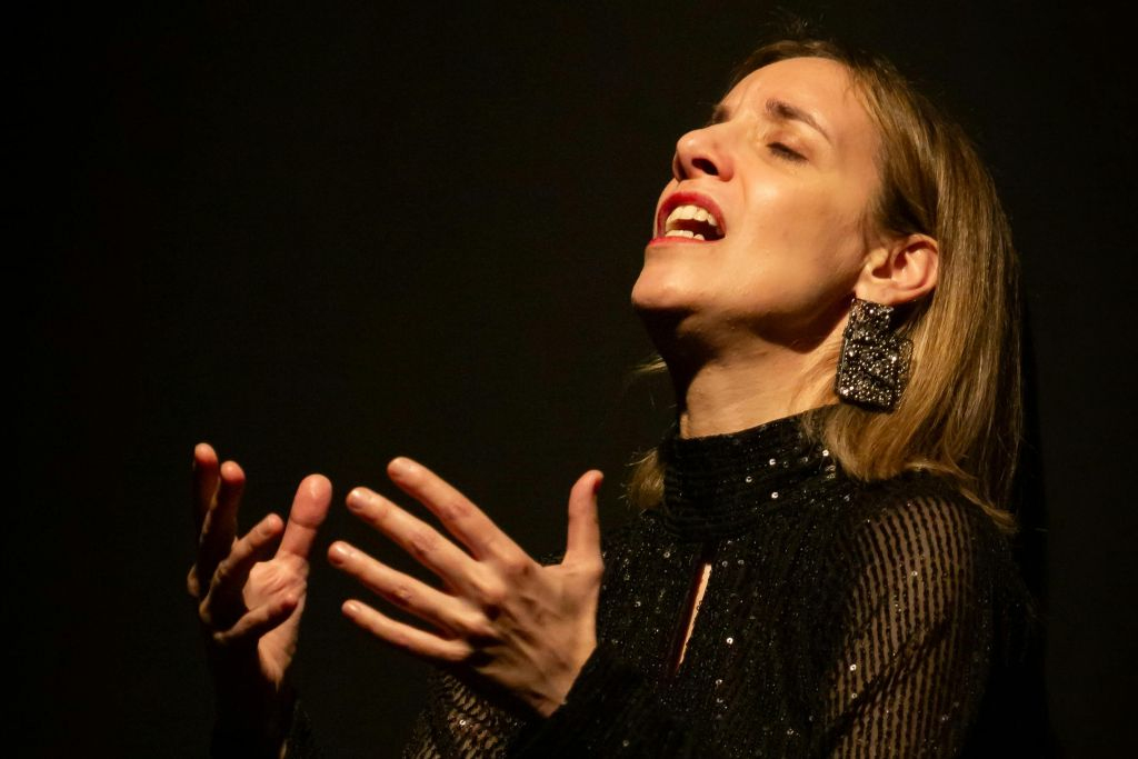 Porto: Traditional Fado Concert