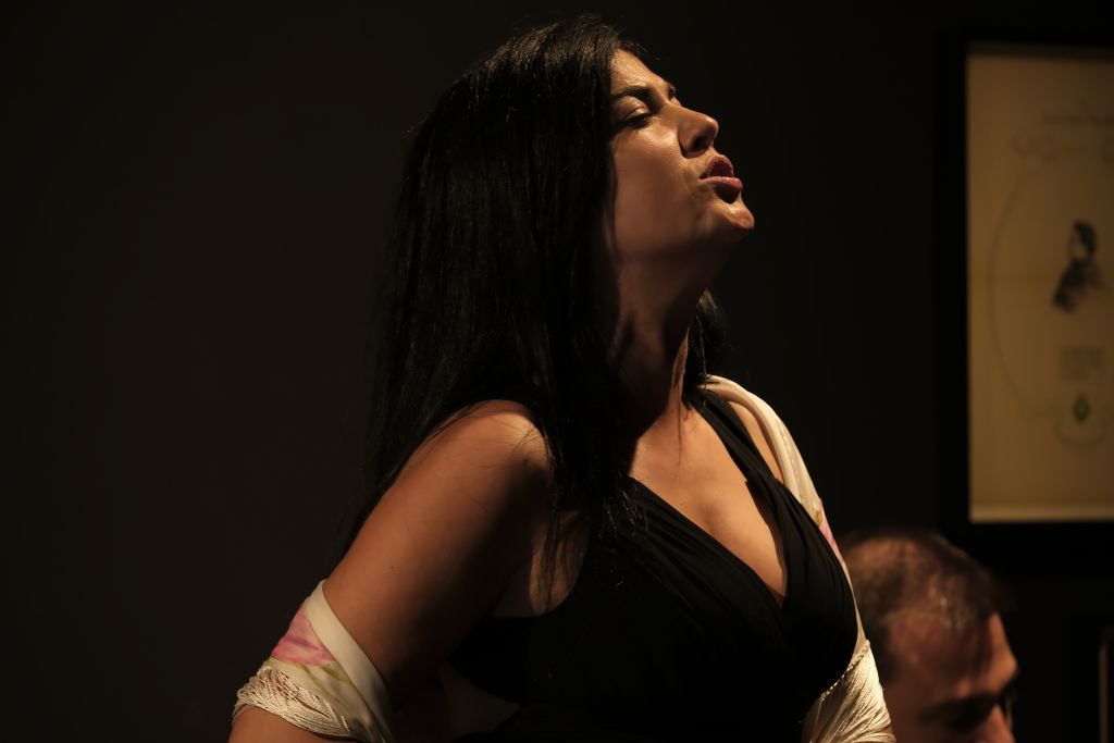Porto: Traditional Fado Concert