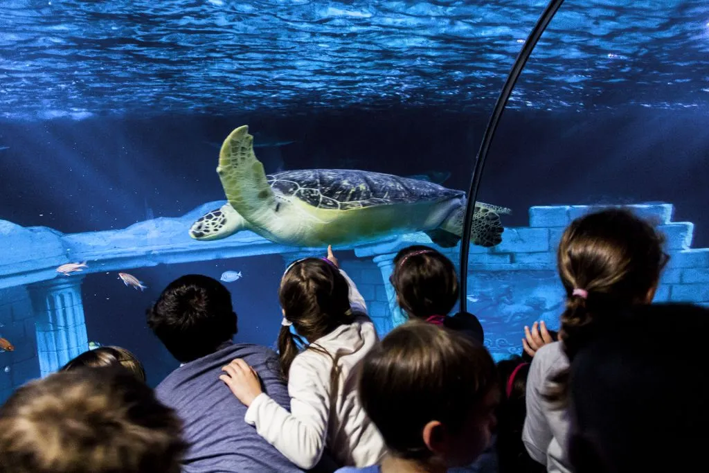 SEA LIFE Porto