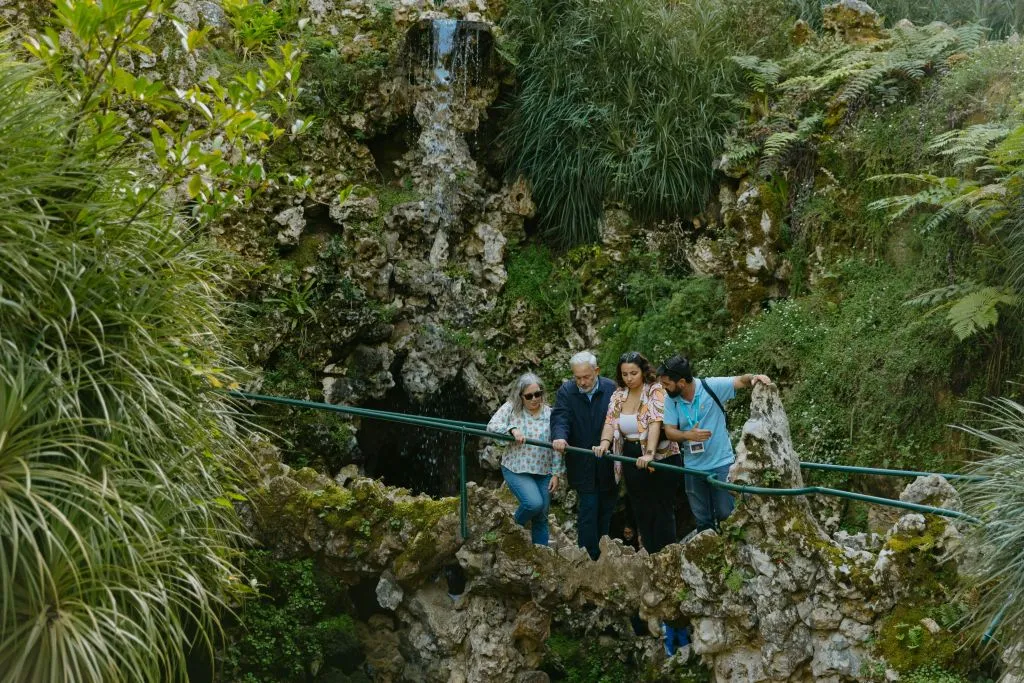 Quinta da Regaleira: Skip The Line Ticket + Guided Tour