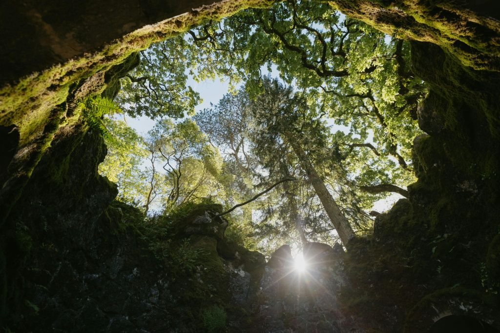Quinta da Regaleira: Skip The Line Ticket + Guided Tour