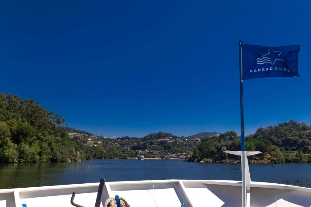 Douro Valley: Downstream Cruise from Régua to Porto with Lunch