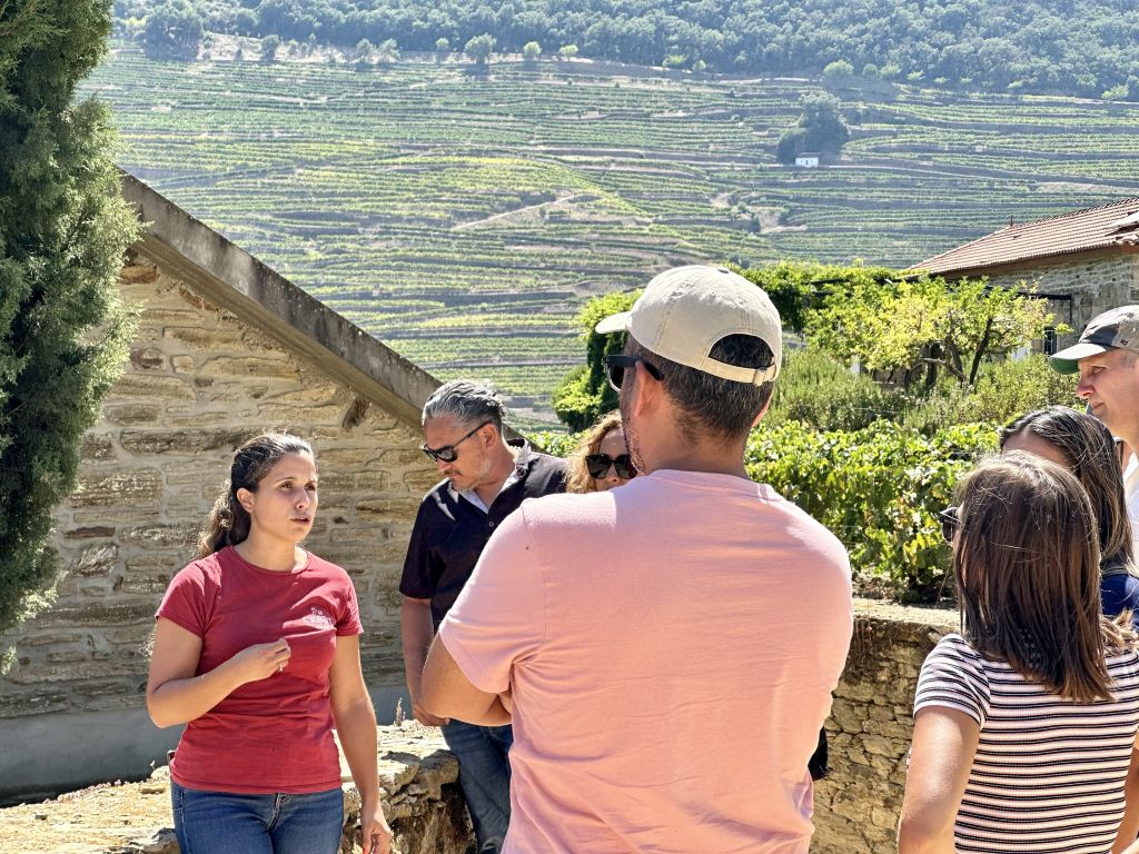 Douro Valley: Downstream Cruise from Régua to Porto with Lunch